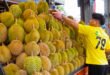 Durian Cutting Skills