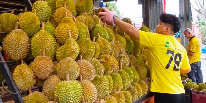 Durian Cutting Skills