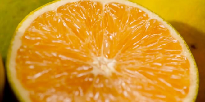 How Orange Juice Is Processed